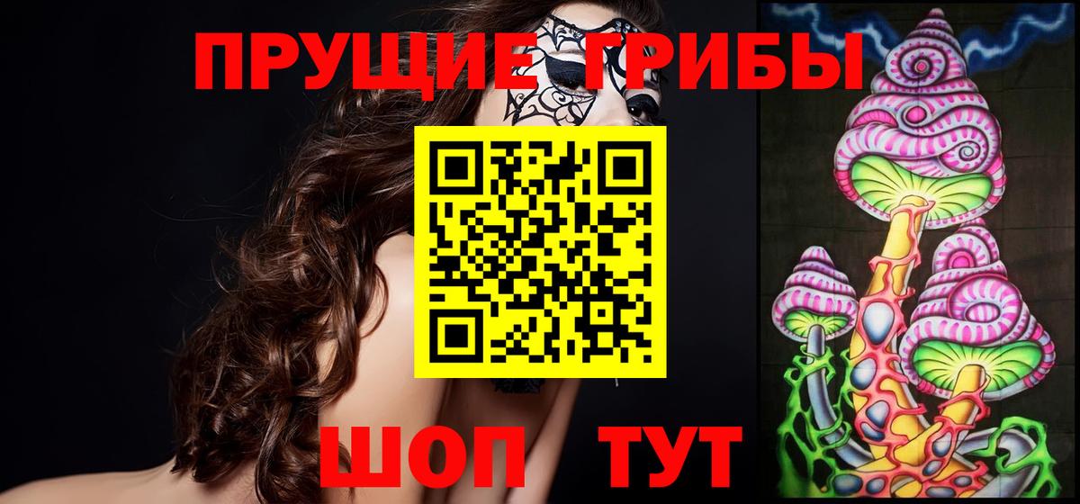Магадан  Галлюциногенные грибы Magic Shrooms  Вход с VPN 