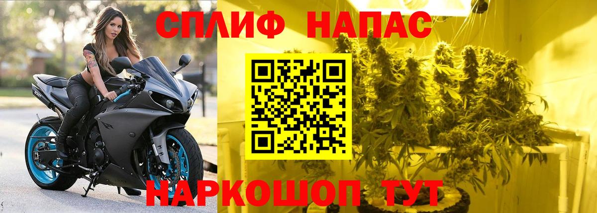 Конопля гибрид  Конопля ГИДРОПОН  МАРИХУАНА марихуана  Вход с VPN  Конопля конопля  Магадан 