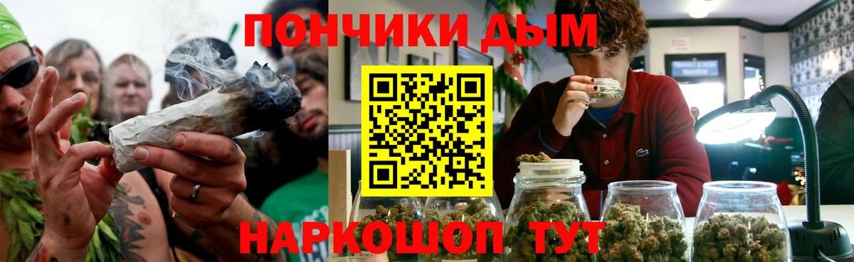 Шишки марихуана марихуана Магадан
